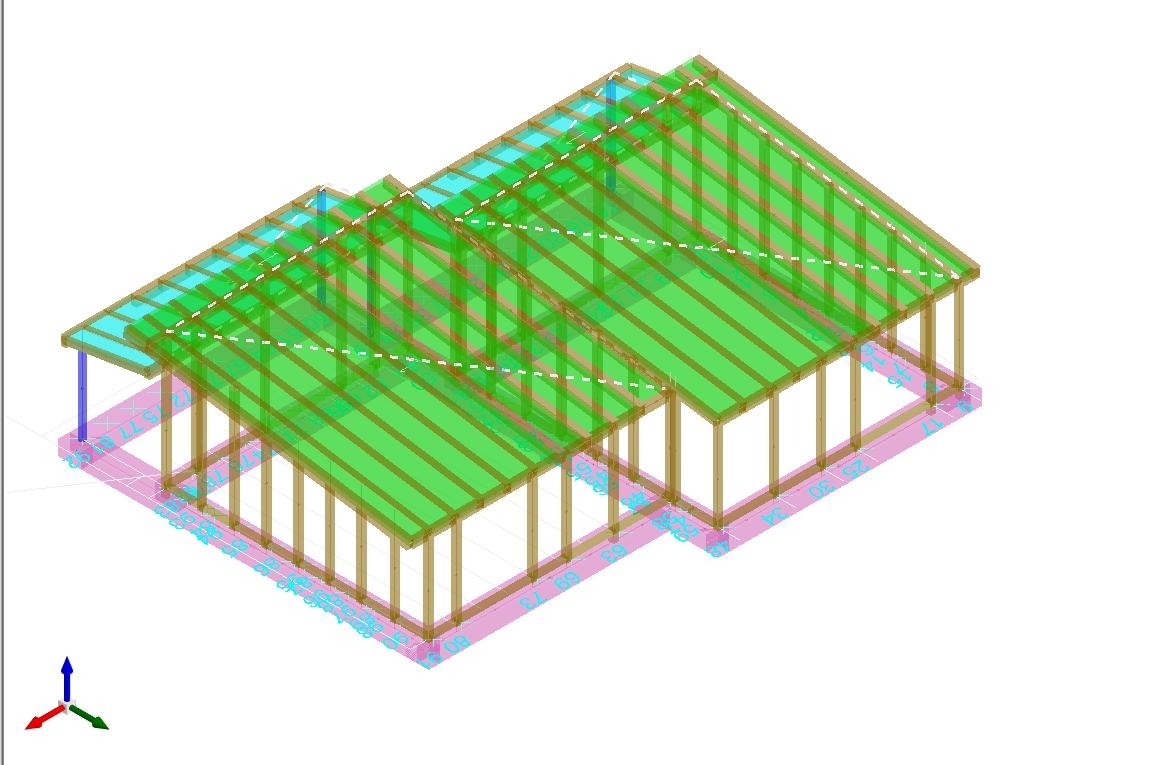 progetto strutture legno